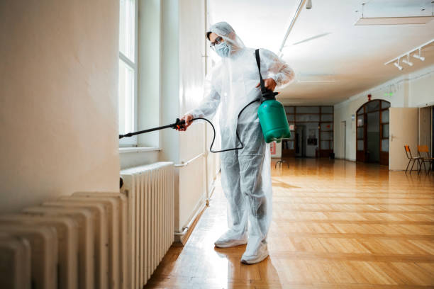 Best Residential Pest Control  in Nashville, MI